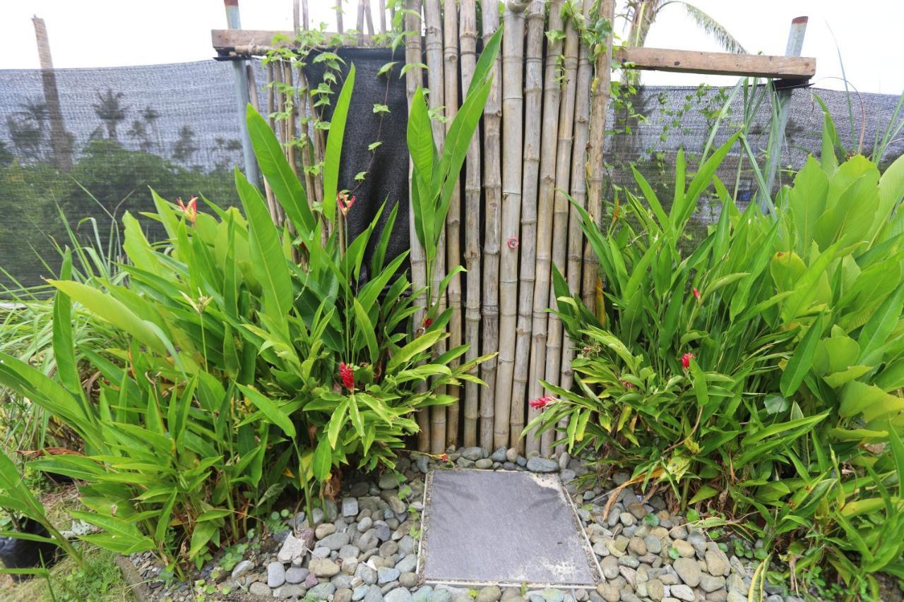 Lafinca Hostel Siargao San Isidro  Eksteriør bilde